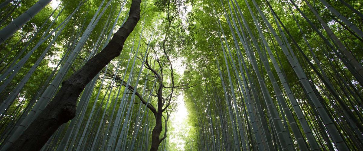 财神的宝藏-智慧对决